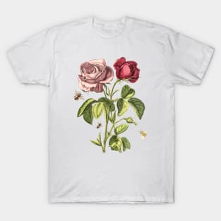 Rose Flowers with Bees, Vintage Botanical Illustration Collage T-Shirt